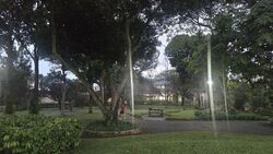 Camelia Park (D28), Terrace #517644281
